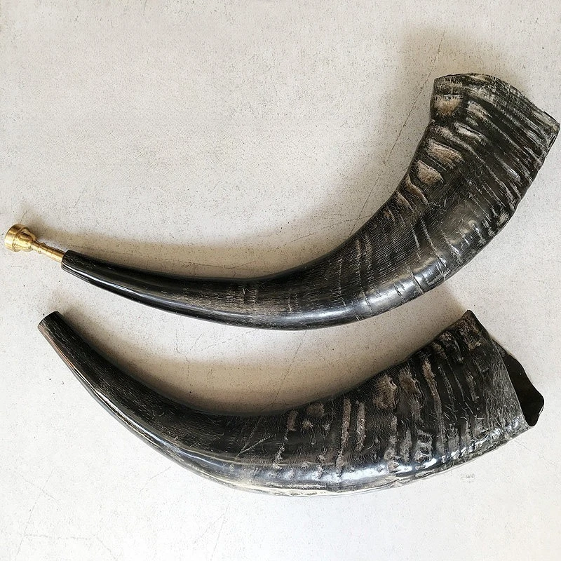 Natural Ox Horn Traditional Professional Large Horn Adult Beginners Performance Horns Ethnic Handmade Instruments Ornaments
Natural Ox Horn Traditional Professional Large Horn Adult Beginners Performance Horns Ethnic Handmade Instruments Ornaments