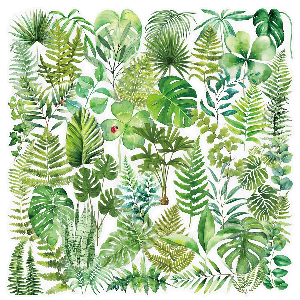 50PCS Green Plants Stickers Decals for Phone Laptop Notebook Suitcase Guitar DIY Cartoon Aesthetic Stickers
50PCS Green Plants Stickers Decals for Phone Laptop Notebook Suitcase Guitar DIY Cartoon Aesthetic Stickers