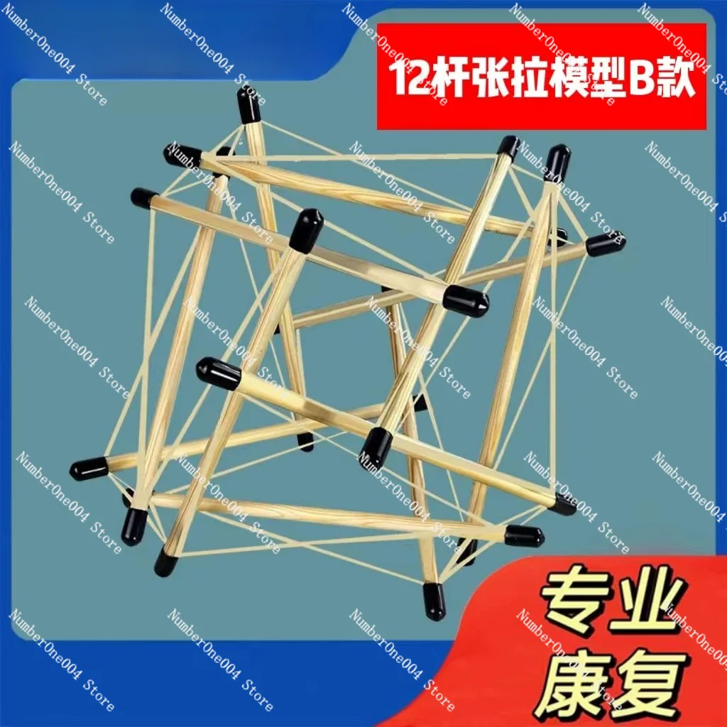 Tensegrity Model Structure 12 Rod Fascial Tensegrity Teaching Aid for Rehabilitation Dynamics
Tensegrity Model Structure 12 Rod Fascial Tensegrity Teaching Aid for Rehabilitation Dynamics