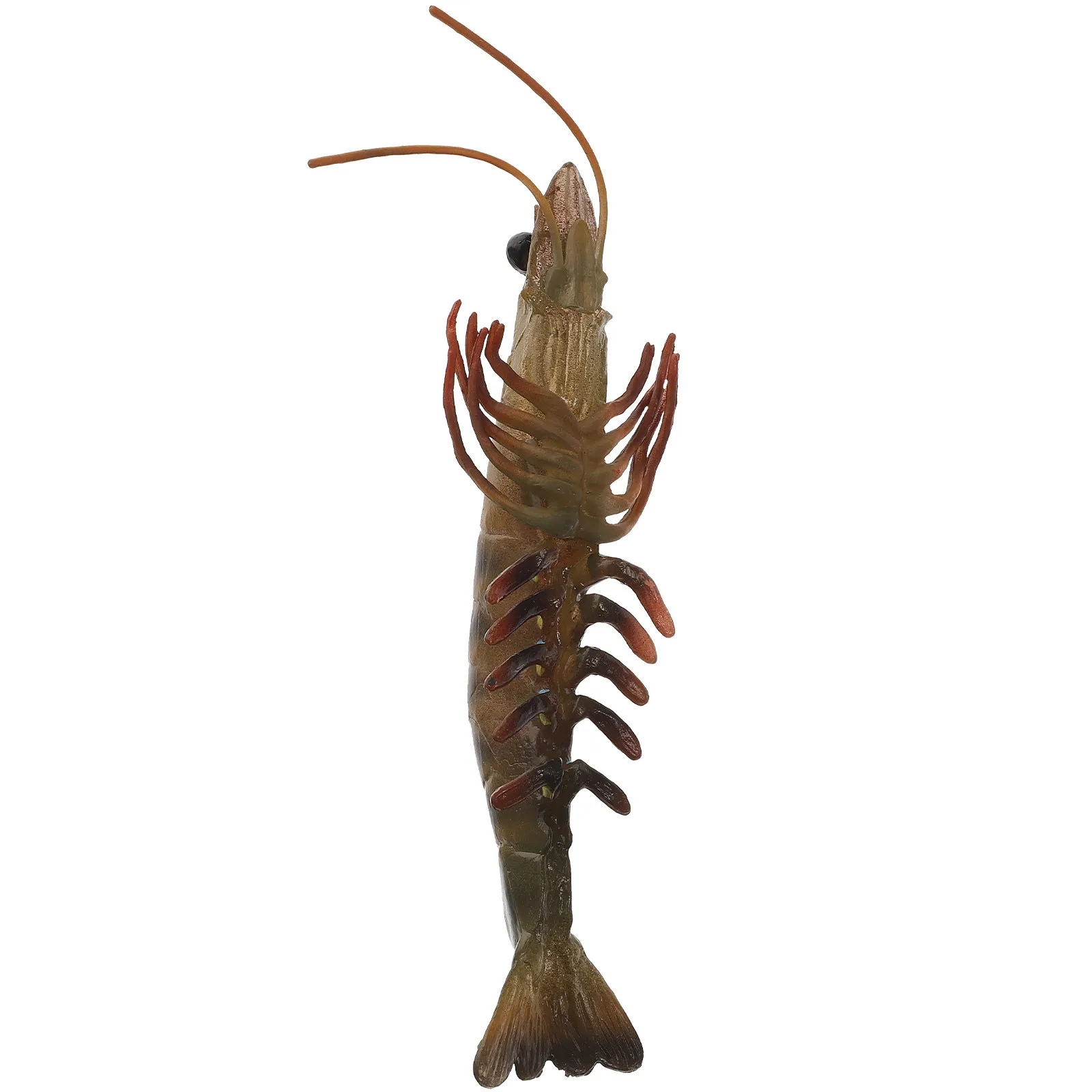 Simulation Shrimp Plastic Educational Children Accessories Realistic Kids Plaything Ocean Animal Learning Ocean Party Favors
Simulation Shrimp Plastic Educational Children Accessories Realistic Kids Plaything Ocean Animal Learning Ocean Party Favors