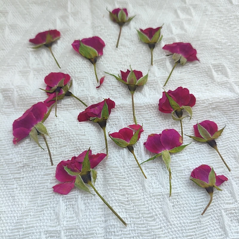 12 Flowers Per Pack with Stems, Side-Pressed Roses, Real Flower Material Pack, Plant Specimens, Dried Flower Pressed Bookmarks, Dried Flower for Facial Decoration
12 Flowers Per Pack with Stems, Side-Pressed Roses, Real Flower Material Pack, Plant Specimens, Dried Flower Pressed Bookmarks, Dried Flower for Facial Decoration