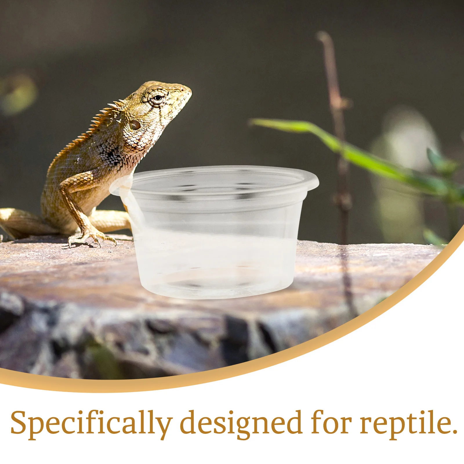 20PCS Reptile Food Water Box Transparent Bowl Wear Resistant Easy Clean Terrarium Pet Supplies Daily Use Multi Function
20PCS Reptile Food Water Box Transparent Bowl Wear Resistant Easy Clean Terrarium Pet Supplies Daily Use Multi Function
