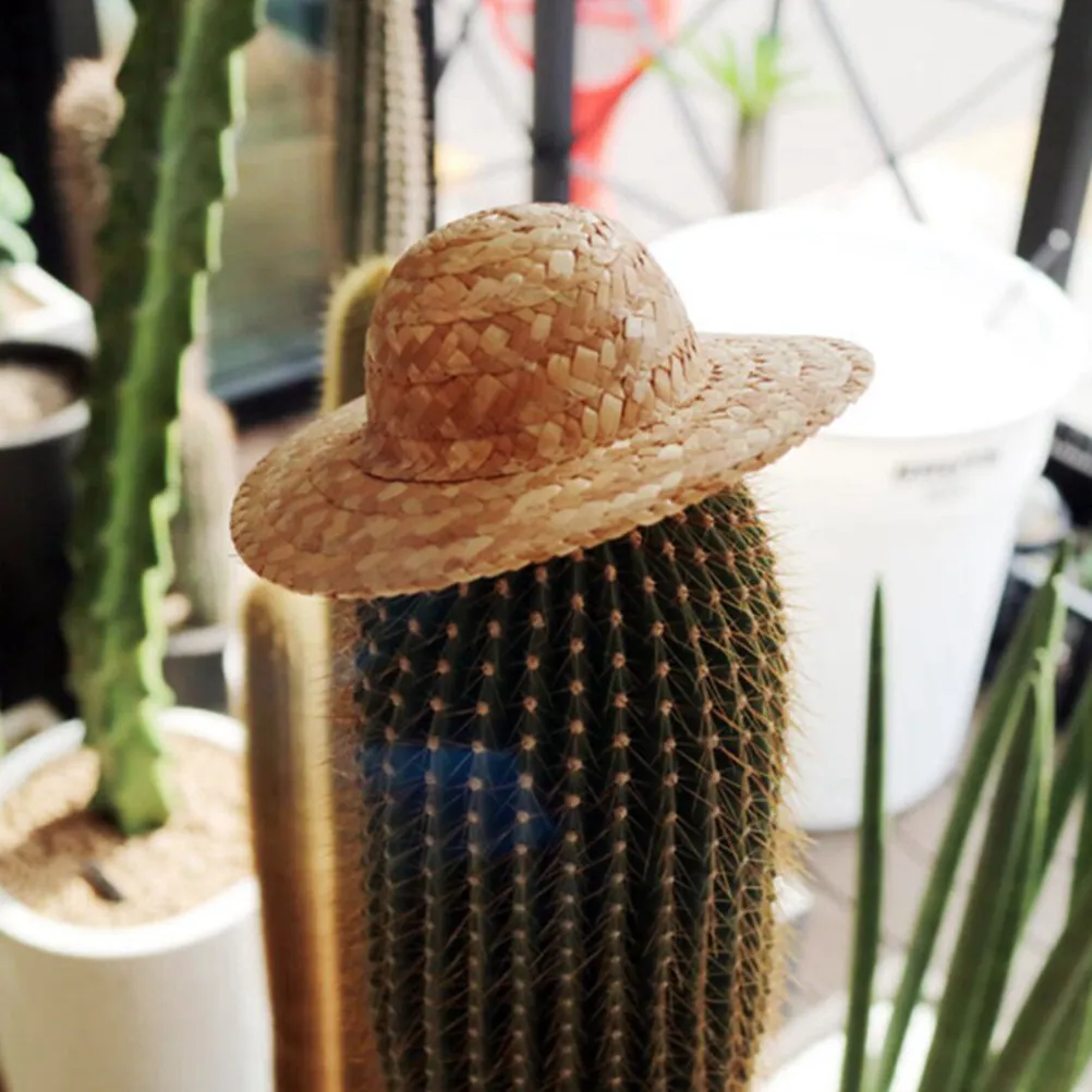 10Pcs 20cm Mini Sombrero Hats Decorations Woven Bucket Hats for DIY Crafts and Classroom Projects Hat
10Pcs 20cm Mini Sombrero Hats Decorations Woven Bucket Hats for DIY Crafts and Classroom Projects Hat