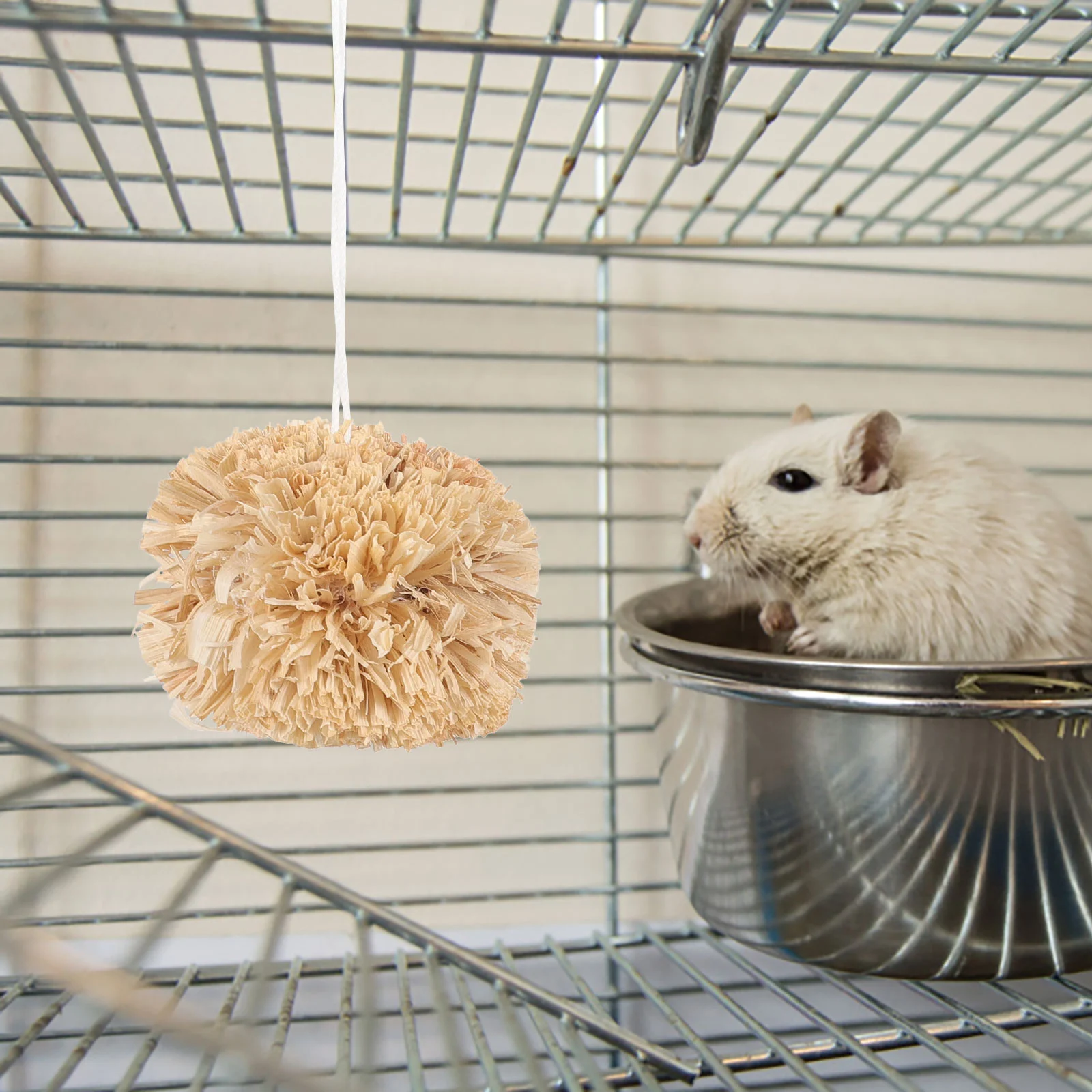 Guinea Pig Molar Pet Teether Ball Hamster Chew Toys Rabbit Bunny Treats Chinchilla
Guinea Pig Molar Pet Teether Ball Hamster Chew Toys Rabbit Bunny Treats Chinchilla