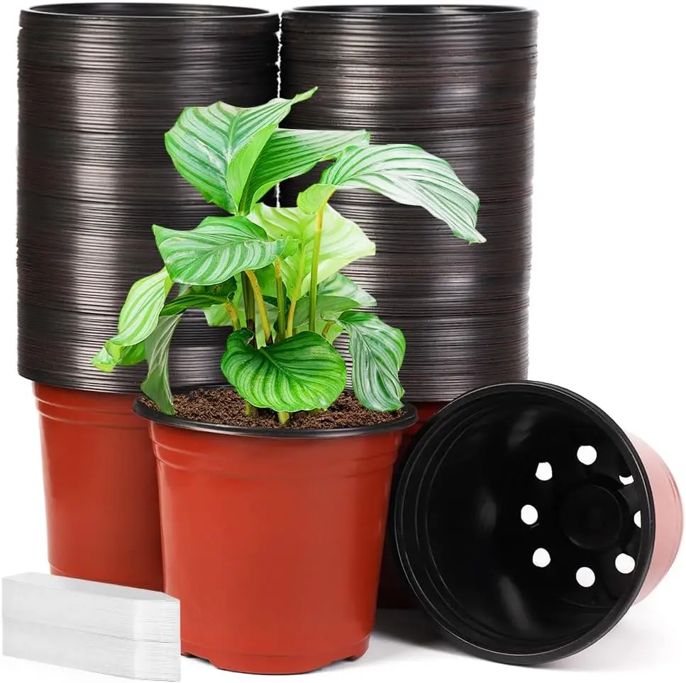 200 Pack 6 Inch Plastic Nursery Pots Comewith Drainage Holes, Seedling Flower Plant Container and Seed Starting Pots wit
200 Pack 6 Inch Plastic Nursery Pots Comewith Drainage Holes, Seedling Flower Plant Container and Seed Starting Pots wit
