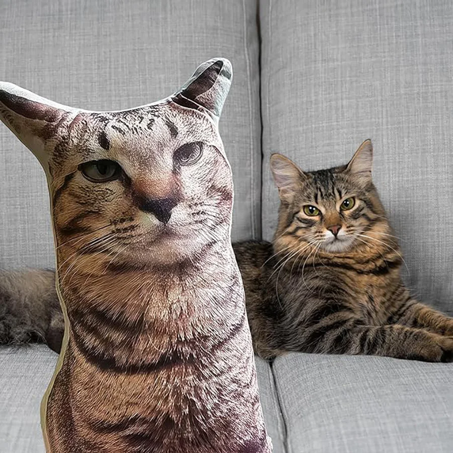 Подушки для домашних животных с персонализированной фотографией, уродливые декоративные подушки в форме собаки или кошки, памятные подарки в память о потере питомца
Подушки для домашних животных с персонализированной фотографией, уродливые декоративные подушки в форме собаки или кошки, памятные подарки в память о потере питомца