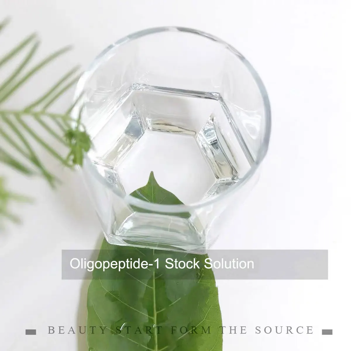 High Quality Oligopeptide-1 Stock Solution Cosmetic Grade Beauty Peptide Repair, Anti-aging, Wrinkle Removal Skin Care Additives
High Quality Oligopeptide-1 Stock Solution Cosmetic Grade Beauty Peptide Repair, Anti-aging, Wrinkle Removal Skin Care Additives