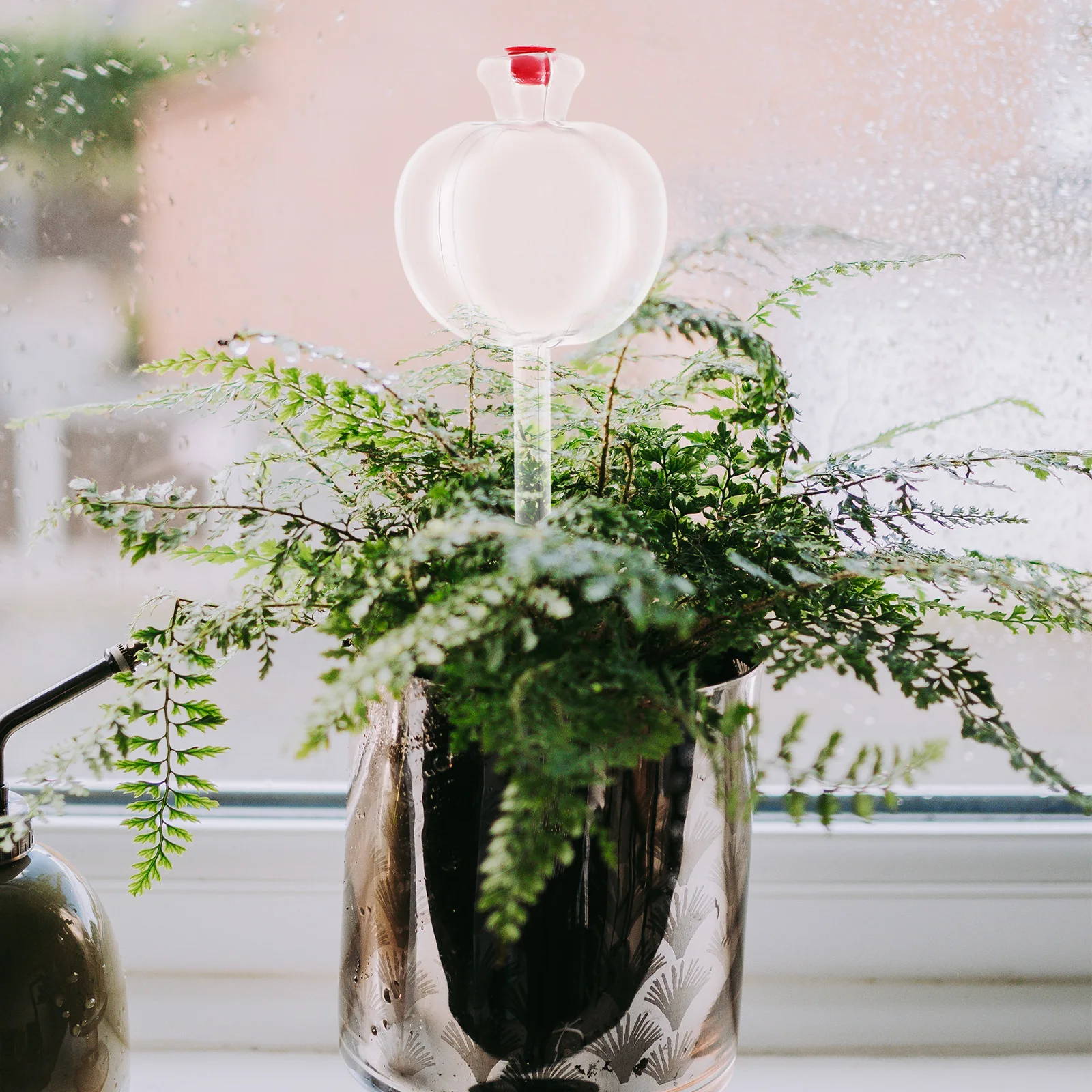 5Pcs Automatic Plant System Self Spikes Device for Indoor Outdoor Plants Garden Tool Efficient Drip Irrigation
5Pcs Automatic Plant System Self Spikes Device for Indoor Outdoor Plants Garden Tool Efficient Drip Irrigation