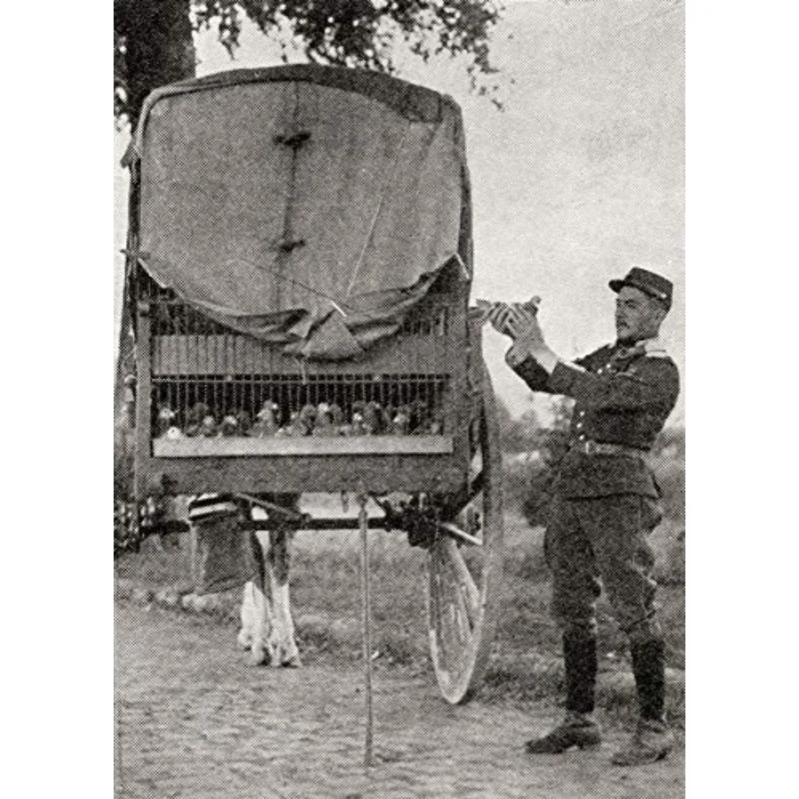 DPI12285911LARGE A French Trooper Releasing A Pigeon with A Message for Headquarters During WWI. from The War Illustrated Album
DPI12285911LARGE A French Trooper Releasing A Pigeon with A Message for Headquarters During WWI. from The War Illustrated Album