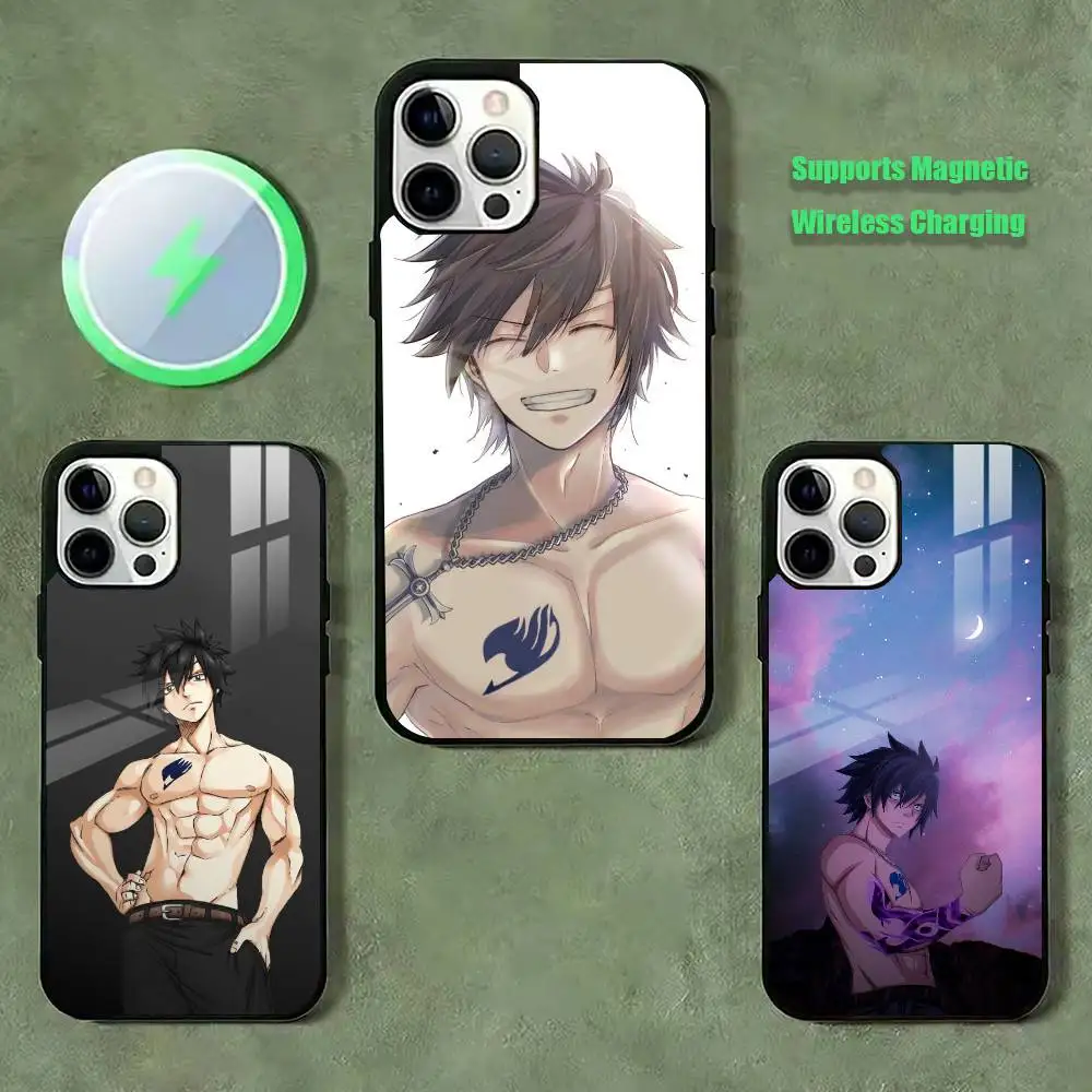 Fairy Tail Gray Phone Case For iPhone17,16,15,14,13,12,11 Plus,Pro Compatible with magnetic wireless charging
Fairy Tail Gray Phone Case For iPhone17,16,15,14,13,12,11 Plus,Pro Compatible with magnetic wireless charging