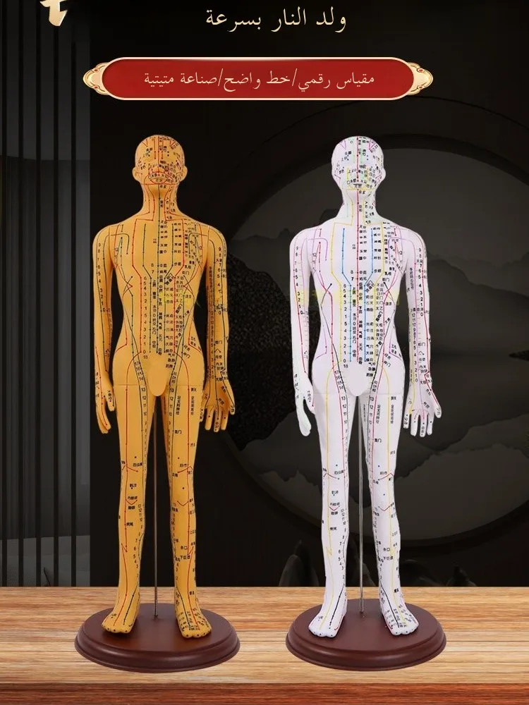 Full Body Acupuncture Point Human Model Silicone Needling Practice Medical Simulation Toy for Home Use Traditional Chinese Me...
Full Body Acupuncture Point Human Model Silicone Needling Practice Medical Simulation Toy for Home Use Traditional Chinese Me...