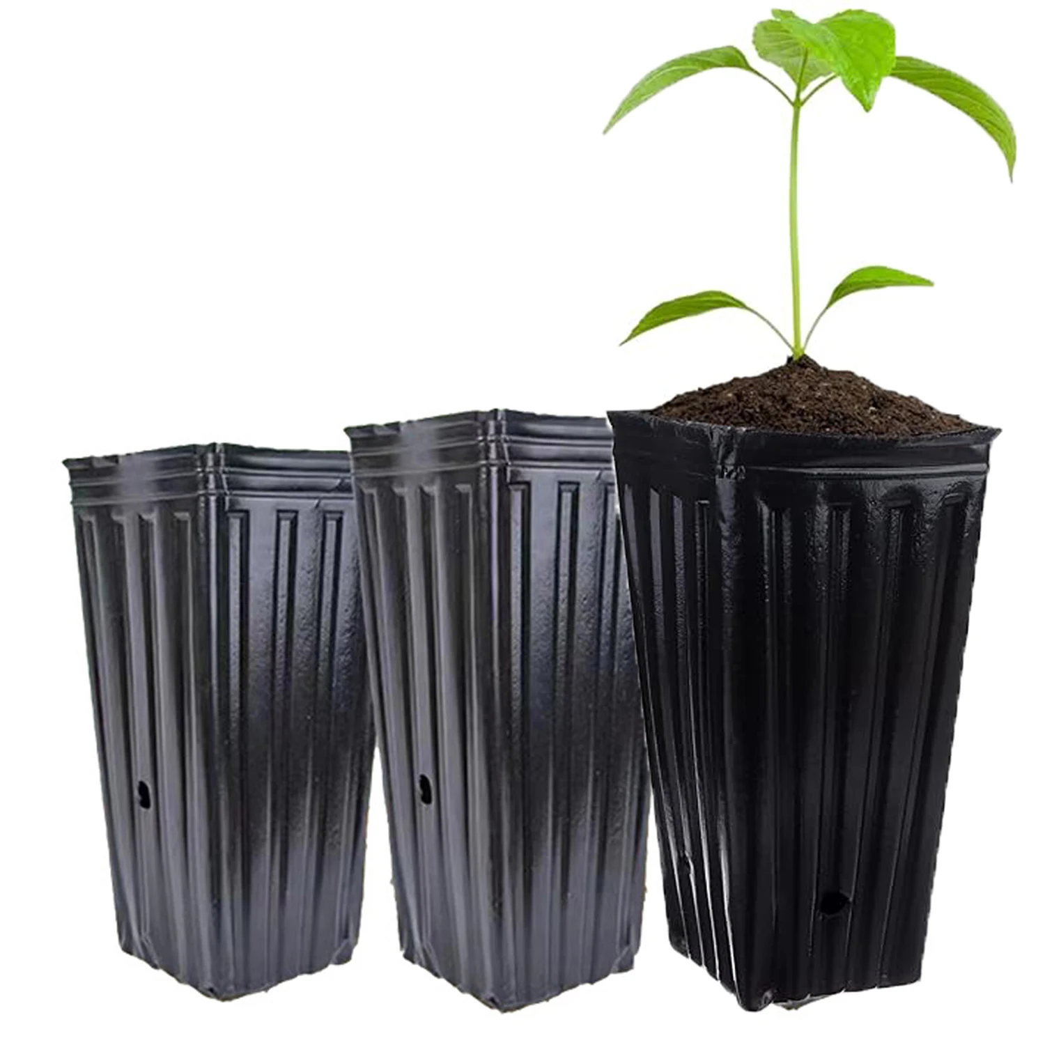 20pcs Tall Deep Tree Pots, Plant Nursery Tall Flower Plant Containers Starting Pots Plant Seedling Nursery Pots for Outdoor Gard
20pcs Tall Deep Tree Pots, Plant Nursery Tall Flower Plant Containers Starting Pots Plant Seedling Nursery Pots for Outdoor Gard