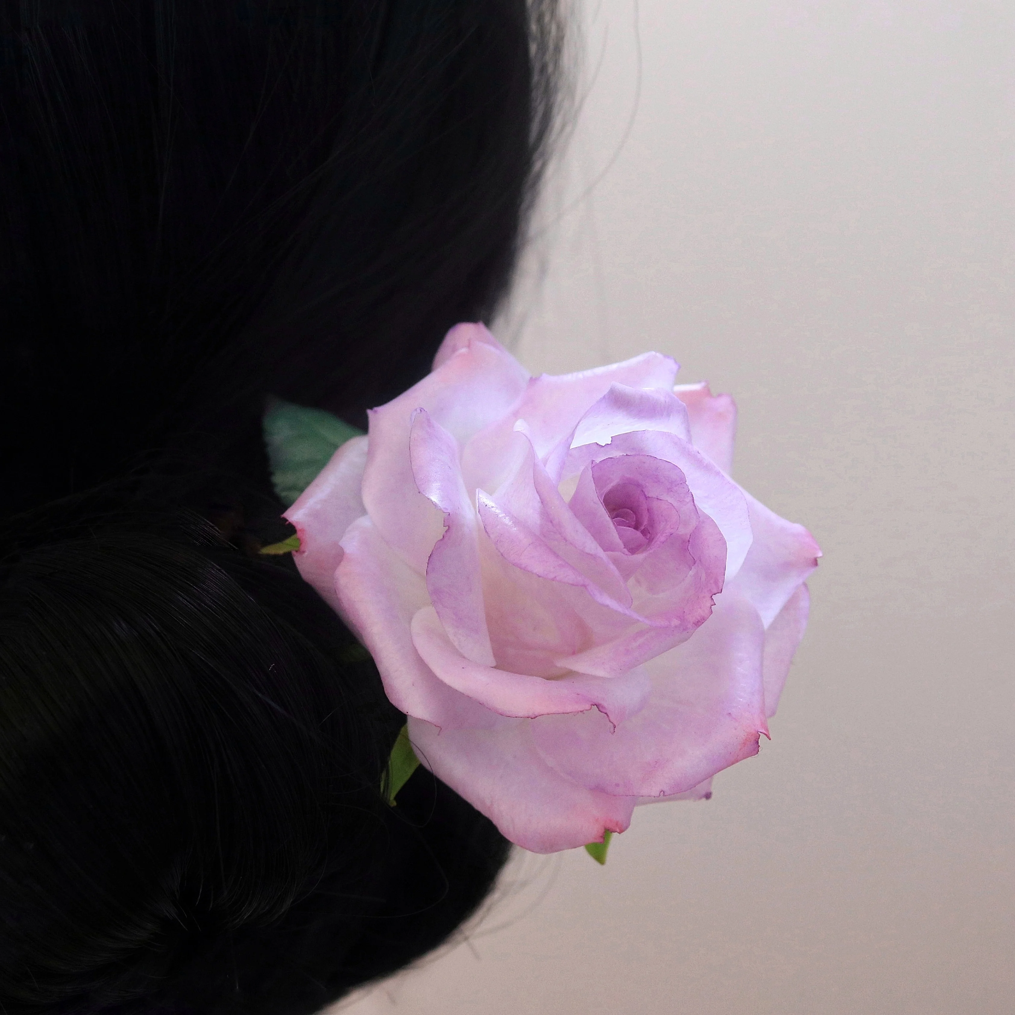 spring wild thoughts, cold porcelain rose hairpin
spring wild thoughts, cold porcelain rose hairpin