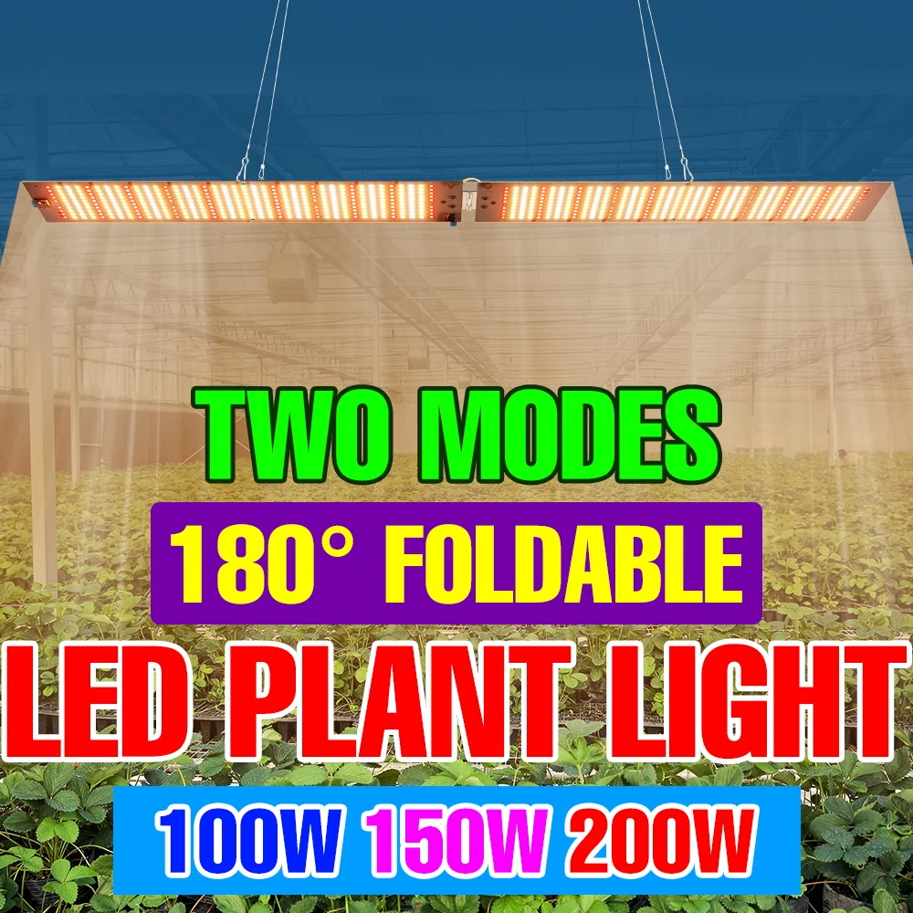 200W LED Full Spectrum Plant Growth Lights Indoor Quantum Board Greenhouse Tent Cultivation Lamp Vegetables Flower Fill Lighting
200W LED Full Spectrum Plant Growth Lights Indoor Quantum Board Greenhouse Tent Cultivation Lamp Vegetables Flower Fill Lighting