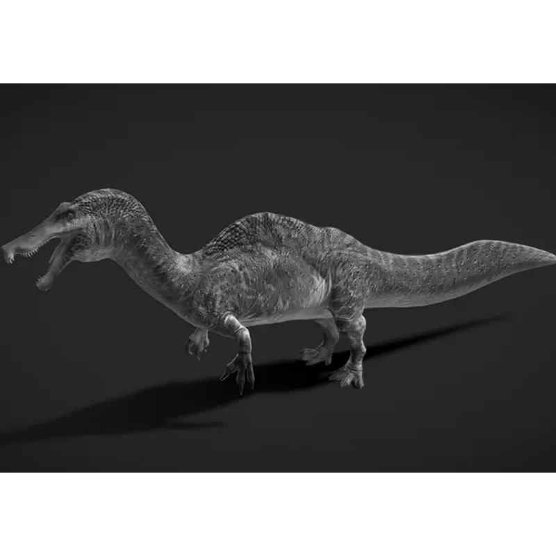 1/35 15cm Irritator Model Toy Modern Animals Model Gk Customize 3D Printing
1/35 15cm Irritator Model Toy Modern Animals Model Gk Customize 3D Printing