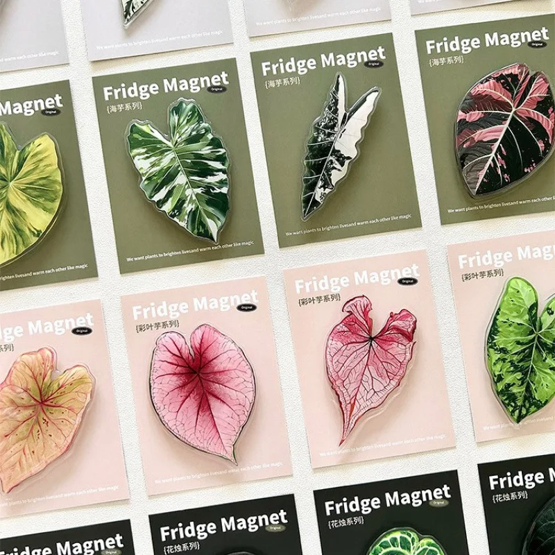 Simulated Plant Mushroom Magnetic Refrigerator Sticker Creative Gift Simulated Leaf Flat Refrigerator Sticker Home Decoration
Simulated Plant Mushroom Magnetic Refrigerator Sticker Creative Gift Simulated Leaf Flat Refrigerator Sticker Home Decoration