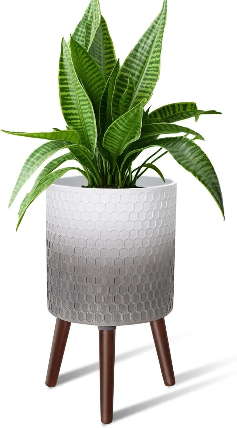 10-Inch Modern Plant Pot with Stand, White & Gray Fiberglass Planter with Drainage Holes for Indoor Plants
10-Inch Modern Plant Pot with Stand, White & Gray Fiberglass Planter with Drainage Holes for Indoor Plants