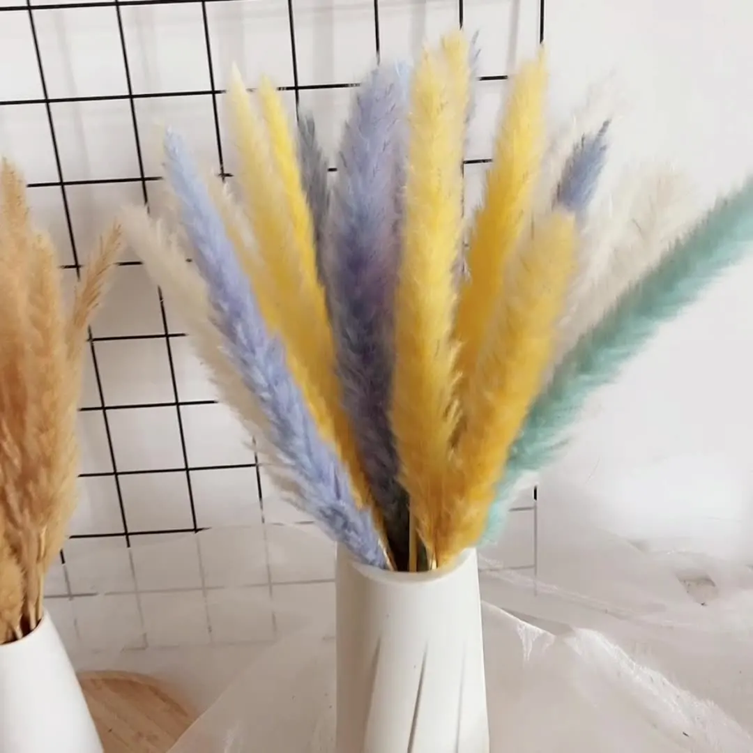 1 Bouquet Dry Flowers Natural pampa Dried Plants Boho Wedding Decoration Party Dried Pampas Grass Decor Accessories
1 Bouquet Dry Flowers Natural pampa Dried Plants Boho Wedding Decoration Party Dried Pampas Grass Decor Accessories