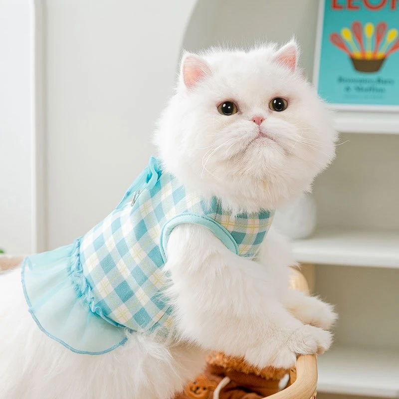 Pet Summer Suspenders Cat Dog Avocado Vest Kitten Puppy Thin Fruit Print T-shirt Teddy Clothes Sun Protection Coat Pet Clothes
Pet Summer Suspenders Cat Dog Avocado Vest Kitten Puppy Thin Fruit Print T-shirt Teddy Clothes Sun Protection Coat Pet Clothes