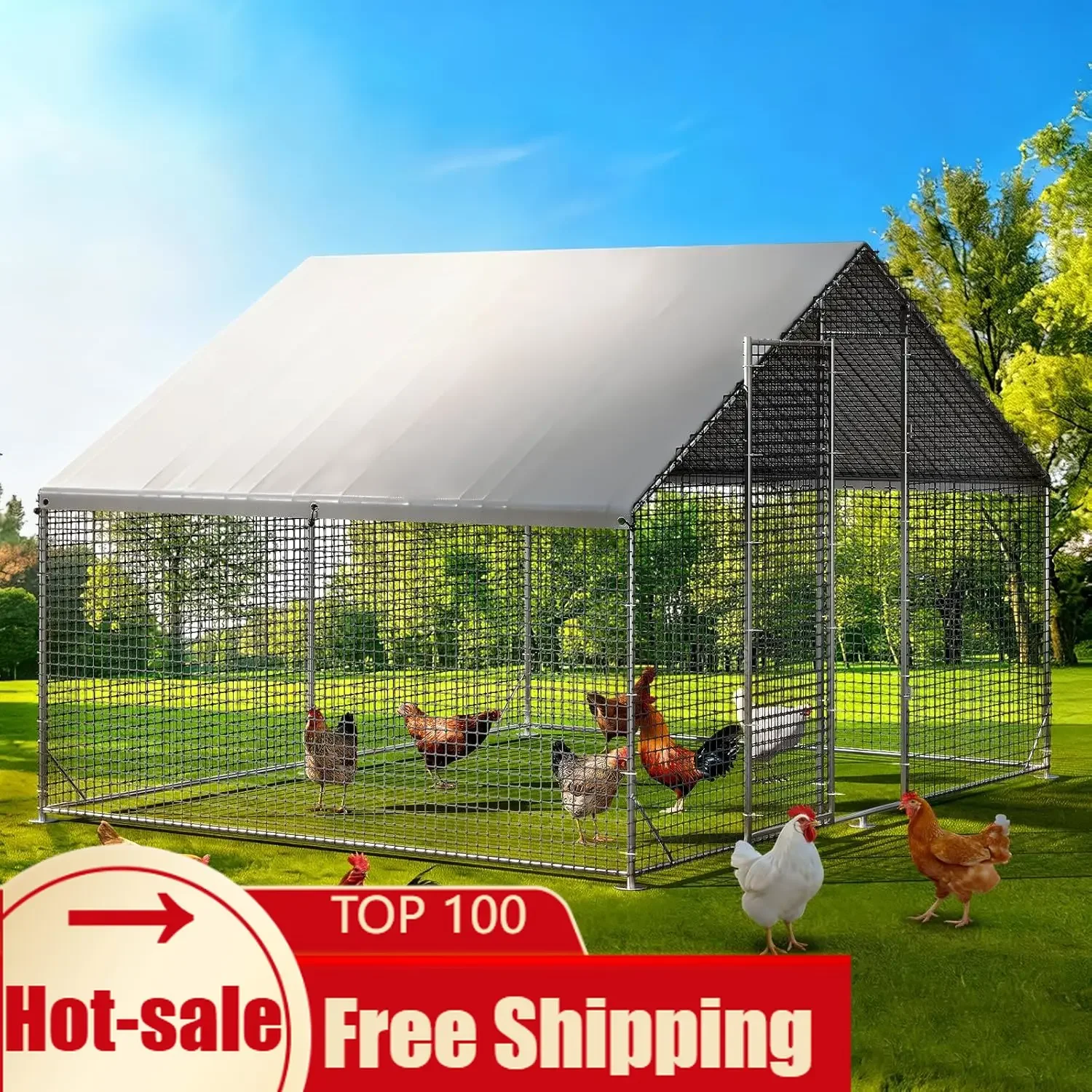 Large Walk in Chicken Coop with Chicken Run Galvanized Poultry Enclosure with Waterproof Anti UV Cover and Security Lock Ideal
Large Walk in Chicken Coop with Chicken Run Galvanized Poultry Enclosure with Waterproof Anti UV Cover and Security Lock Ideal