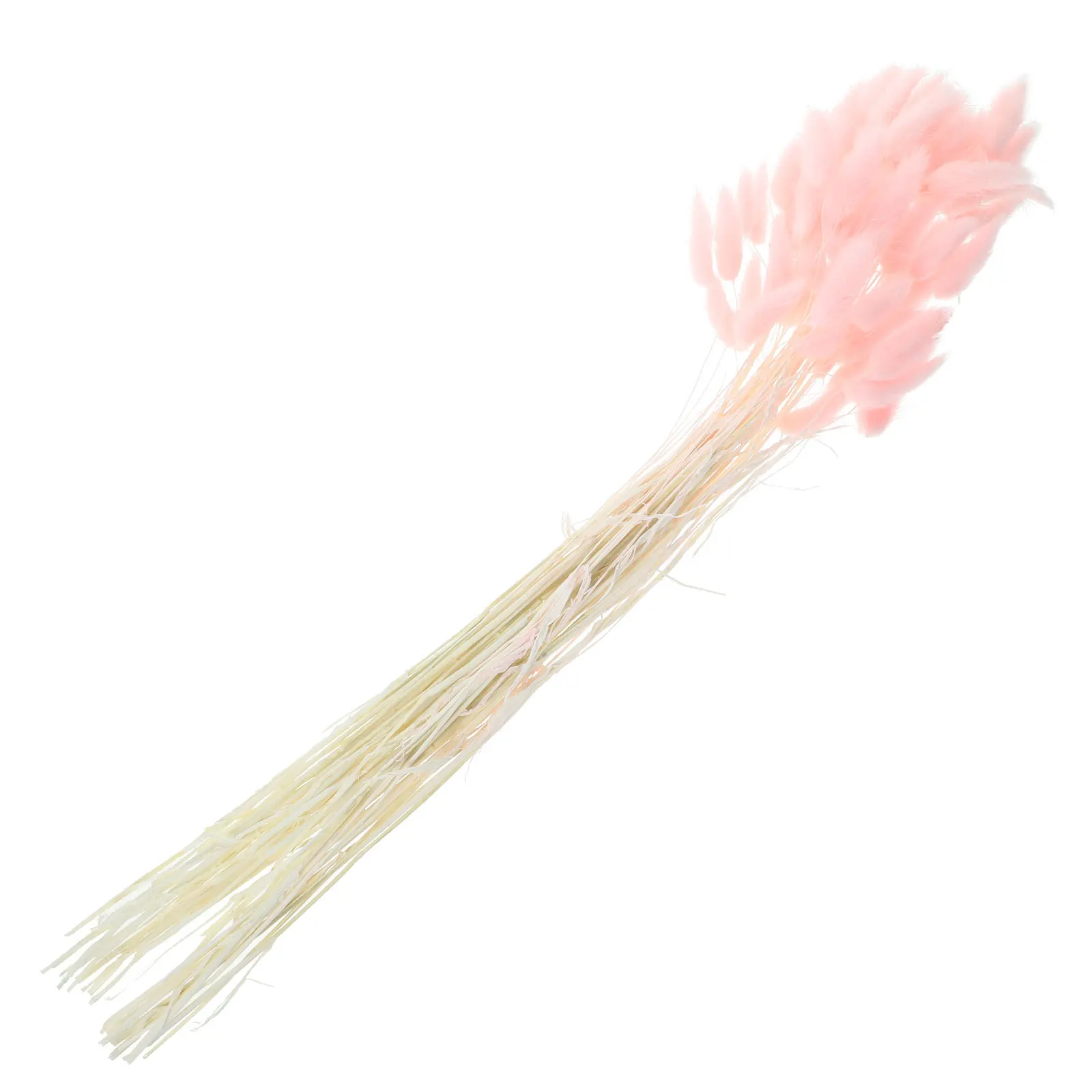 120Pcs Natural Dried Grass Flower Arrangement Decor for Home DIY Room Decoration Craft Bouquet Wedding Use Dried Plant Decor
120Pcs Natural Dried Grass Flower Arrangement Decor for Home DIY Room Decoration Craft Bouquet Wedding Use Dried Plant Decor