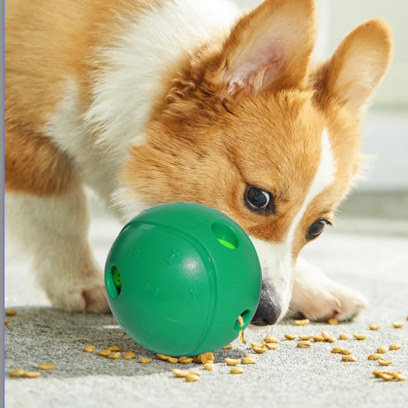 Dog Chew Toys Suction Cup and Rope Cup Tug Pet Toy Self-Playing Dog Teething Toys Dog Pull Toy with Chew Rubber Ball
Dog Chew Toys Suction Cup and Rope Cup Tug Pet Toy Self-Playing Dog Teething Toys Dog Pull Toy with Chew Rubber Ball