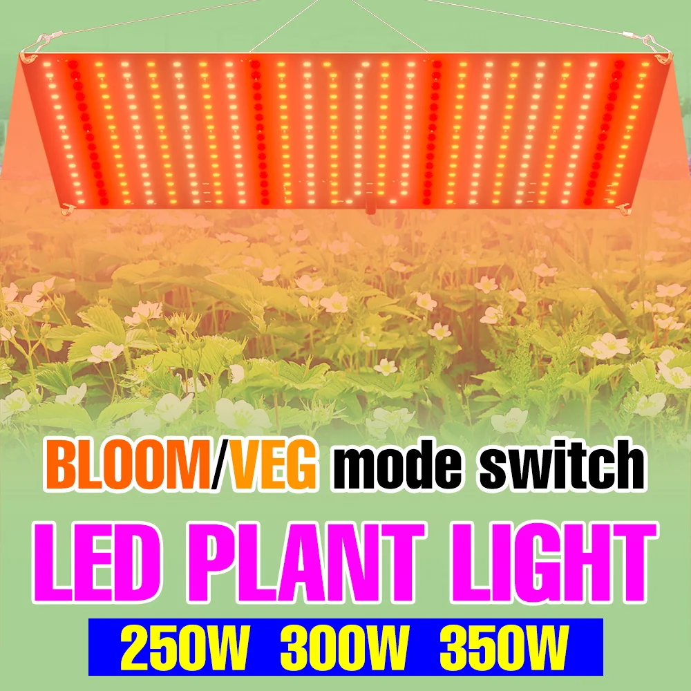 350W Full Spectrum LED Grow Light VEG/BLOOM 2Modes Plant Fill Lamp Quantum Board Greenhouse Tent Fruit Moss Cultivation Lighting
350W Full Spectrum LED Grow Light VEG/BLOOM 2Modes Plant Fill Lamp Quantum Board Greenhouse Tent Fruit Moss Cultivation Lighting