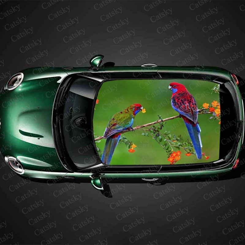 parrot animal cute Car roof sticker wrap racing SUV accessories packaging spray paint PVC interior accessories pain car decals
parrot animal cute Car roof sticker wrap racing SUV accessories packaging spray paint PVC interior accessories pain car decals