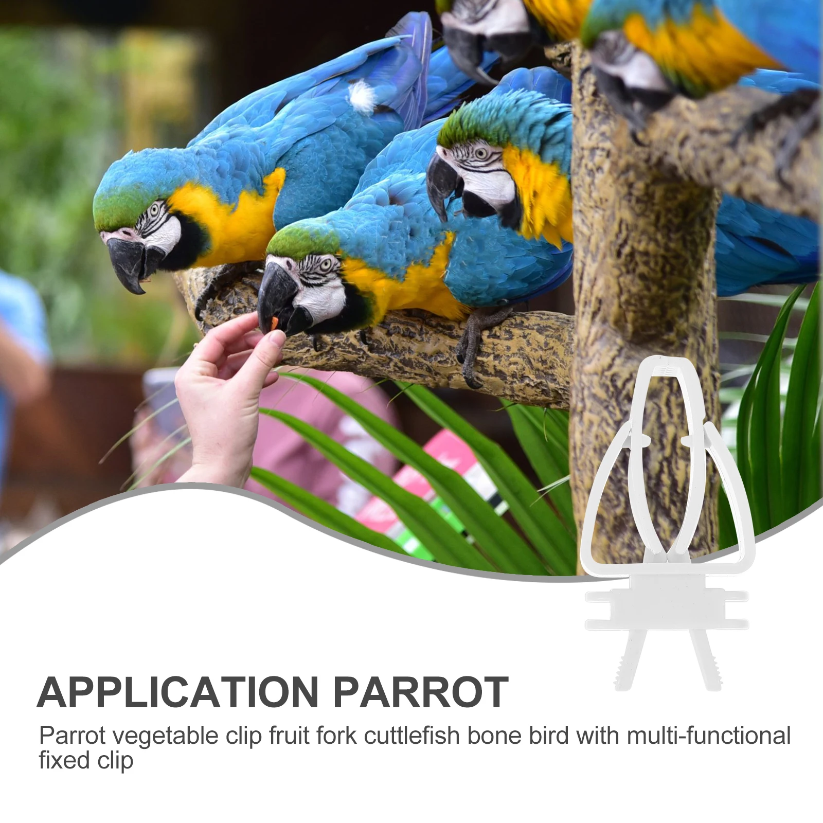 Fruit Clip Bird Food Feeding Vegetable Clamp for Birdcage Cuttlefish Bone Pet Holder Birds
Fruit Clip Bird Food Feeding Vegetable Clamp for Birdcage Cuttlefish Bone Pet Holder Birds