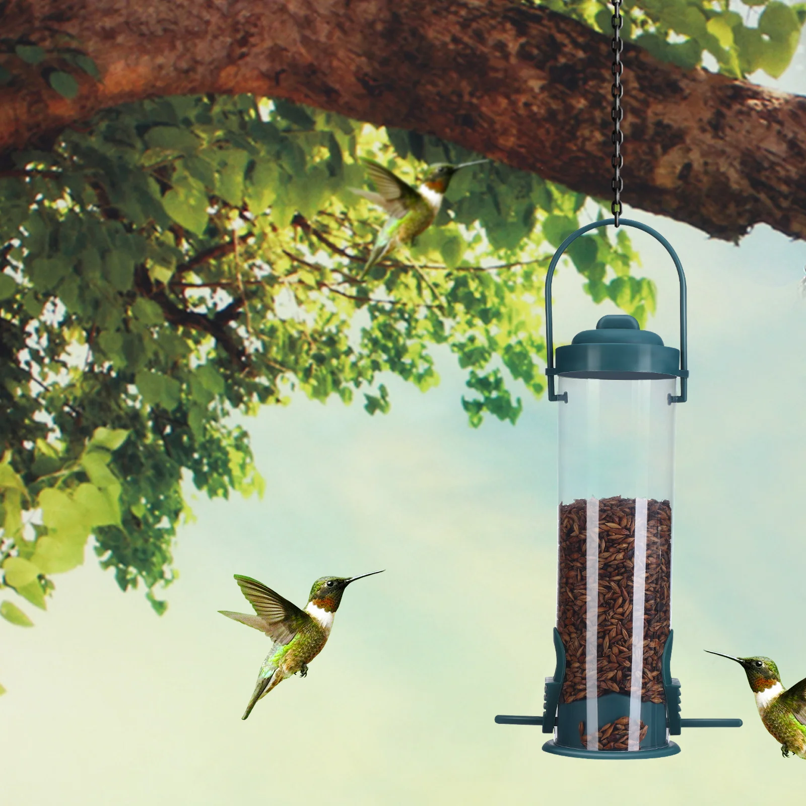 Bird Feeder Outdoor Hanging Hummingbird Feeder with Large Capacity Clear Tube Stable Base for Pet Birds Wild Bird Feeding
Bird Feeder Outdoor Hanging Hummingbird Feeder with Large Capacity Clear Tube Stable Base for Pet Birds Wild Bird Feeding