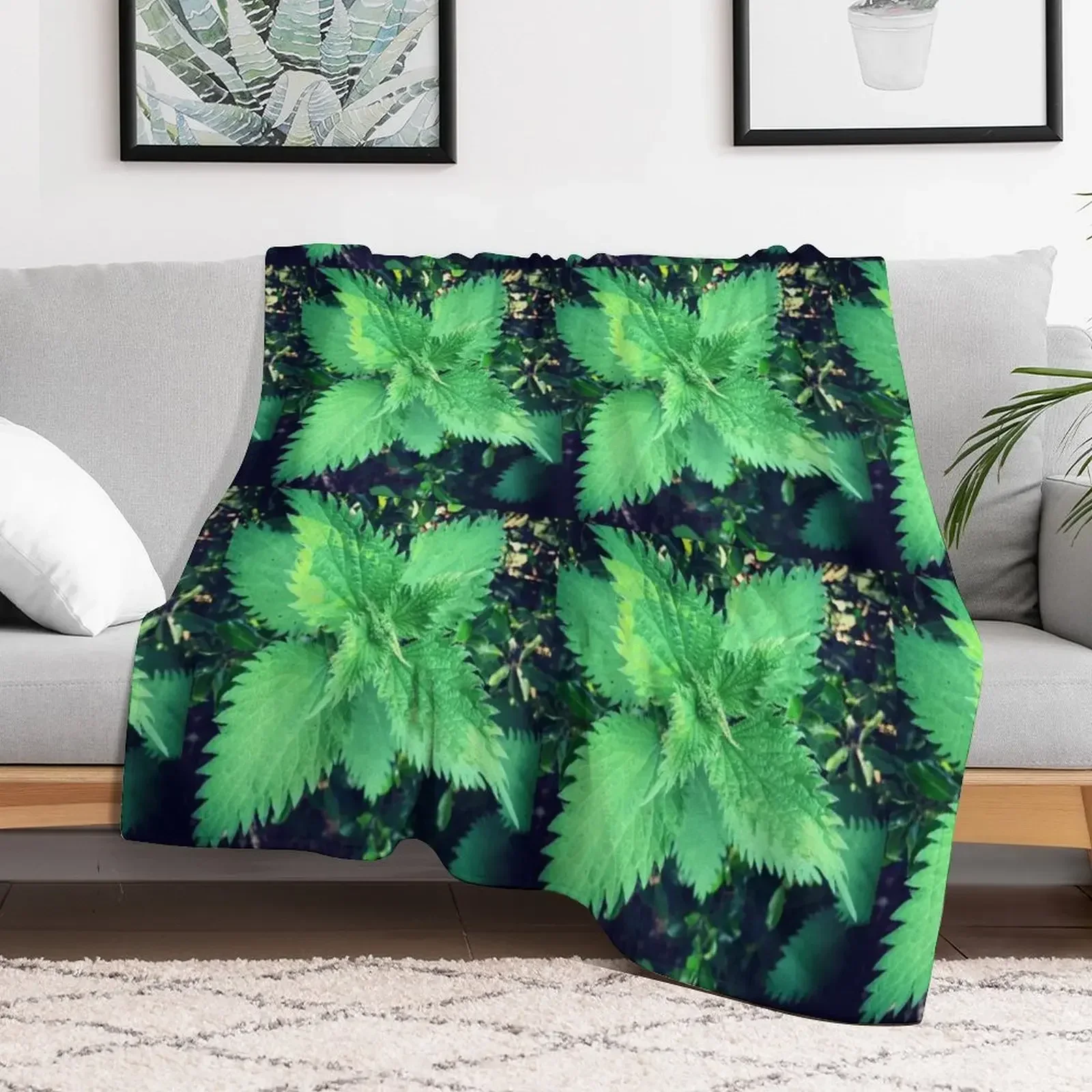Stinging nettle - Throw Blanket Soft Plaid Flannel Beautifuls Blankets Sofas Of Decoration Blankets
Stinging nettle - Throw Blanket Soft Plaid Flannel Beautifuls Blankets Sofas Of Decoration Blankets