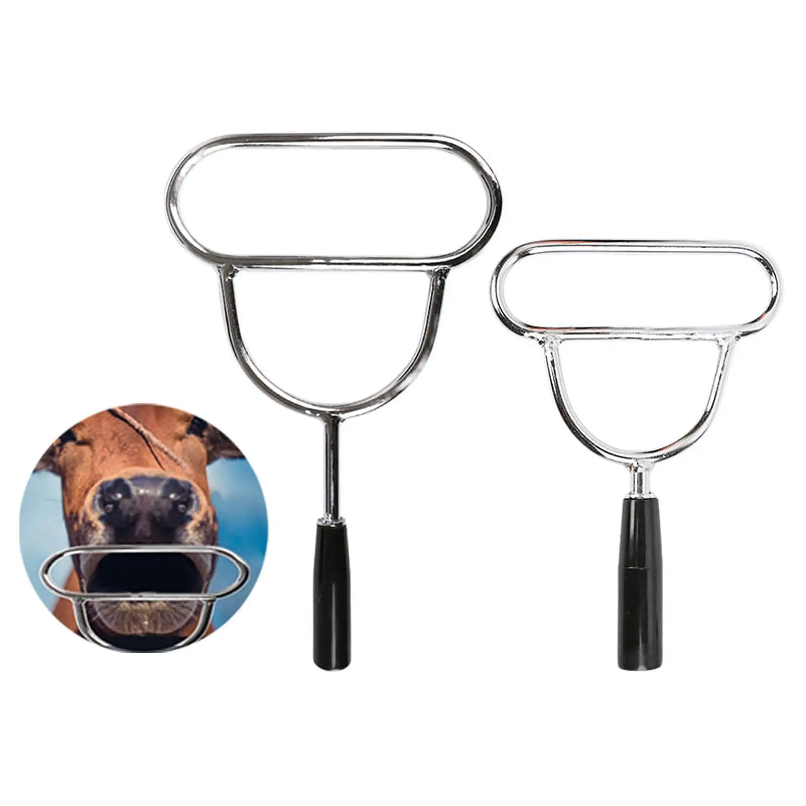 Открывалка для рта коровы, удобная ручка, портативный для мужа животных, профессиональный расширитель рта, инструмент, металлический кляп для рта с животными
Открывалка для рта коровы, удобная ручка, портативный для мужа животных, профессиональный расширитель рта, инструмент, металлический кляп для рта с животными