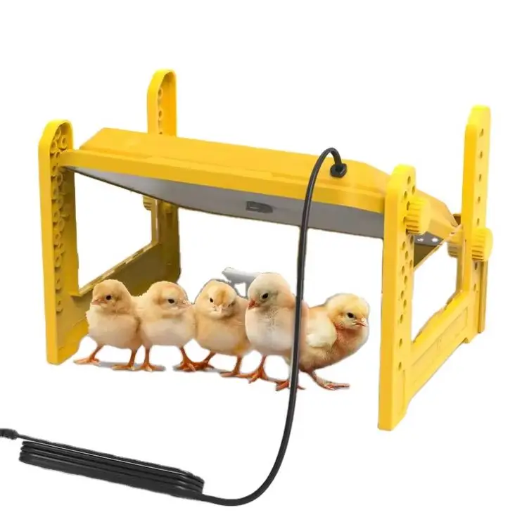 Electronic Chicks Brooder Heater For Poultry Chick With Temperature Adjustable Function Multiple Sizes
Electronic Chicks Brooder Heater For Poultry Chick With Temperature Adjustable Function Multiple Sizes