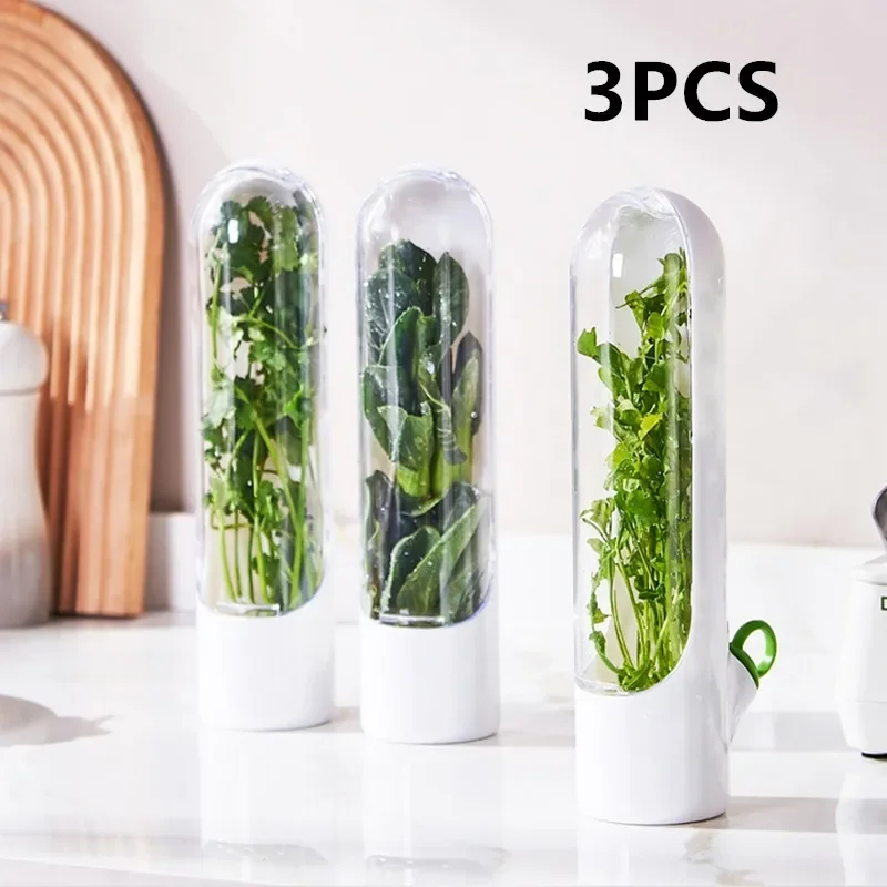 1/2/3PCS Herb Saver Storage Container Fresh Herb Keeper Vanilla Vegetables Fresh Preservation Bottle For Refrigerator Kitchen
1/2/3PCS Herb Saver Storage Container Fresh Herb Keeper Vanilla Vegetables Fresh Preservation Bottle For Refrigerator Kitchen