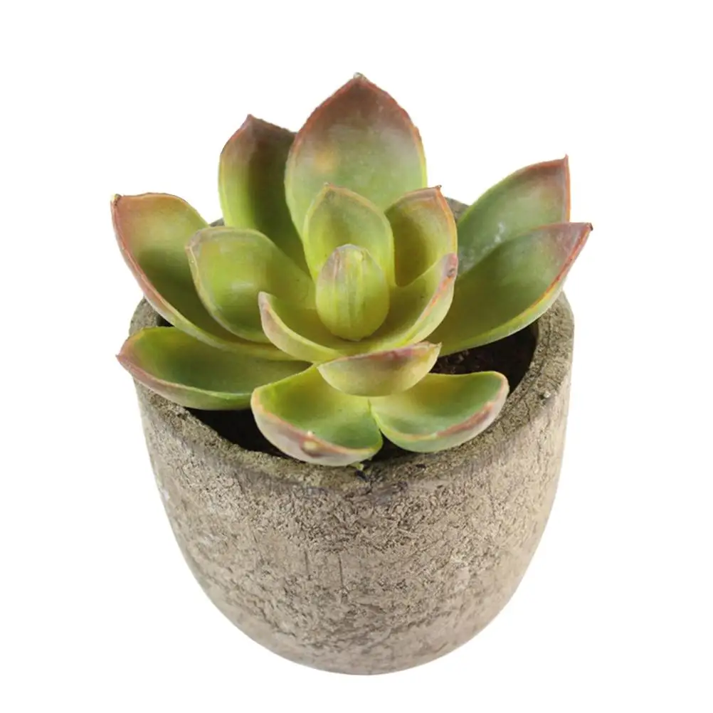 Faux Succulent Artificial Decoration Fake Succulent Plant for Desk Shelf Room Bedroom Office PlasticCreative Gifts
Faux Succulent Artificial Decoration Fake Succulent Plant for Desk Shelf Room Bedroom Office PlasticCreative Gifts