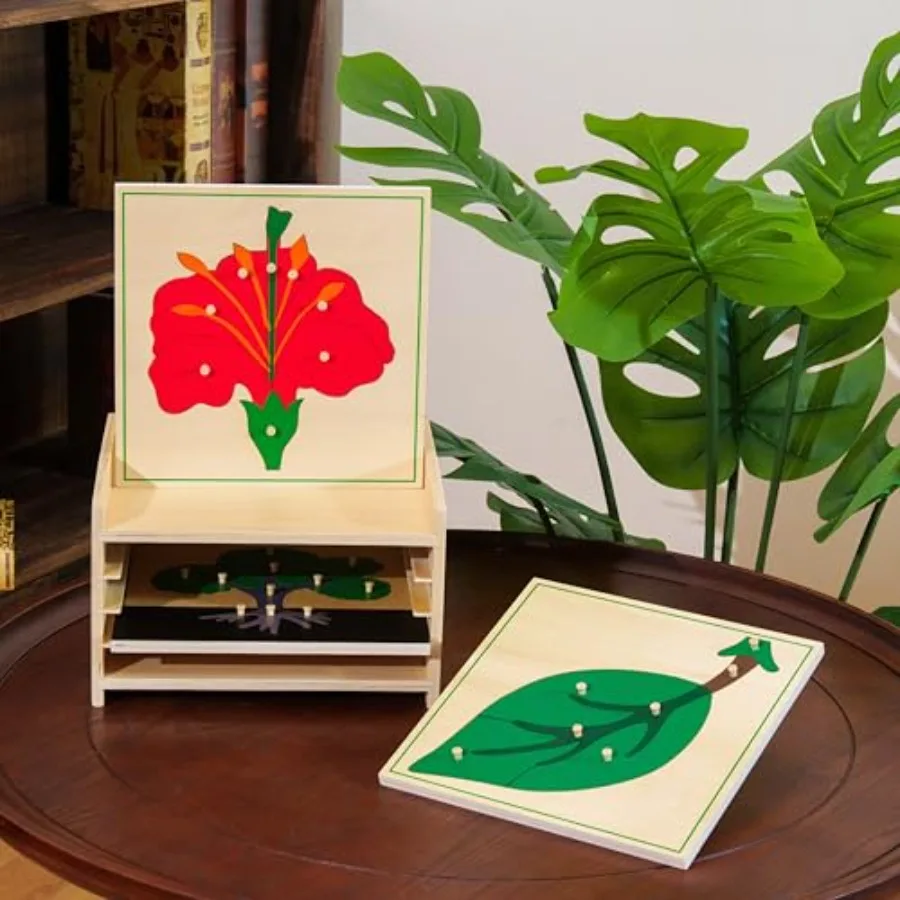 Premium Montessori Botany Puzzle Cabinet with 3 Puzzles Tree, Flower, Leaf Science and Nature Learning Toys MDF and Plywood Mat
Premium Montessori Botany Puzzle Cabinet with 3 Puzzles Tree, Flower, Leaf Science and Nature Learning Toys MDF and Plywood Mat