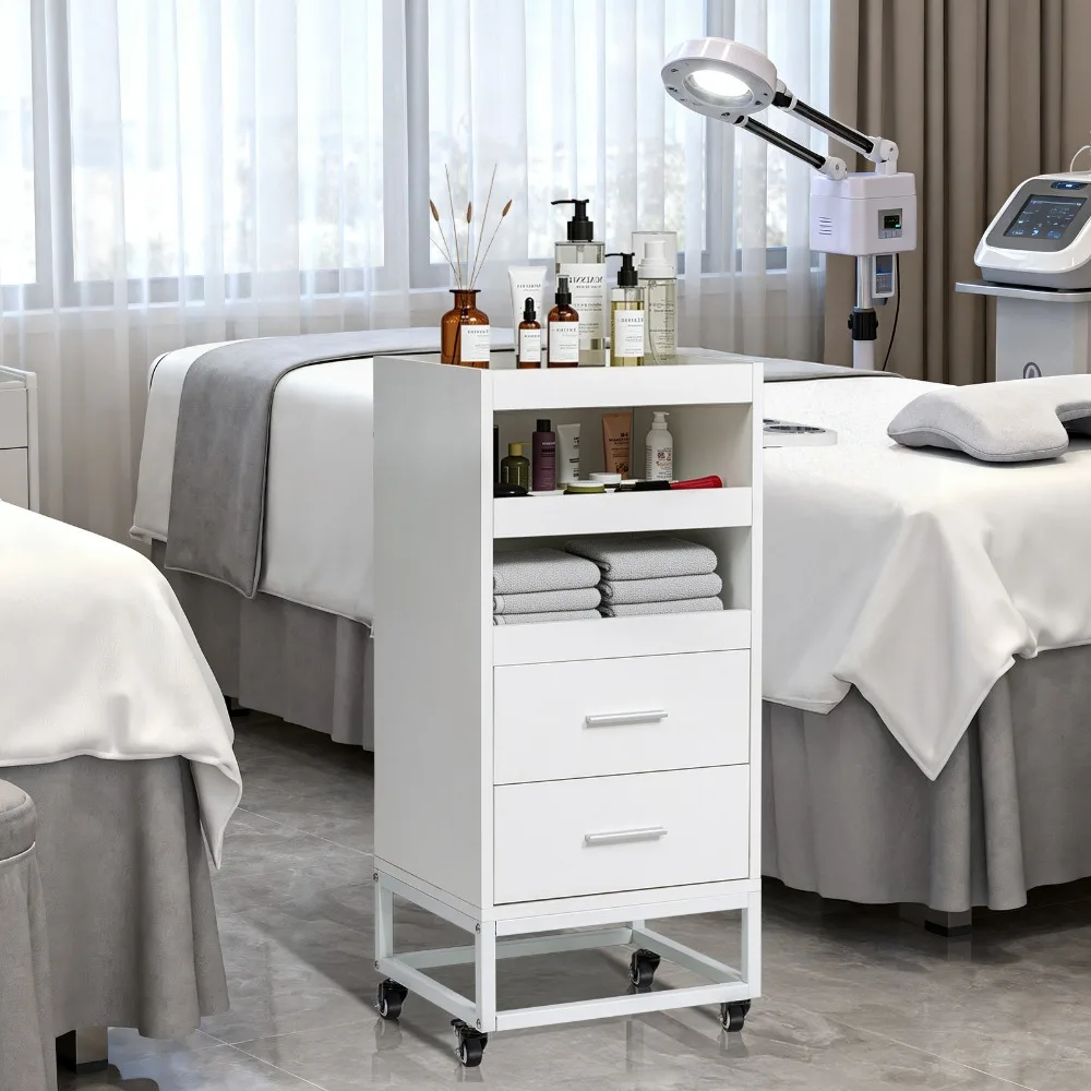 Professional Hair Stylist Rolling Cart with Locking Casters, 2 Large Drawers
Professional Hair Stylist Rolling Cart with Locking Casters, 2 Large Drawers