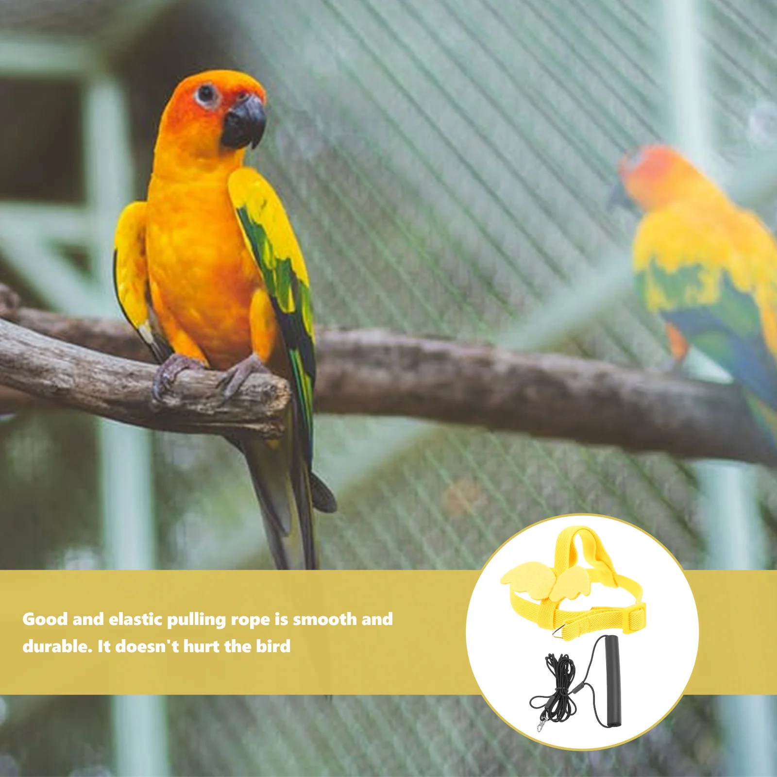 1Set Flying Harness Rope Bird Leash Parrot Outdoor Training Tool Safe Bird Fly Train Kit Durable Elastic Parrot Harness
1Set Flying Harness Rope Bird Leash Parrot Outdoor Training Tool Safe Bird Fly Train Kit Durable Elastic Parrot Harness