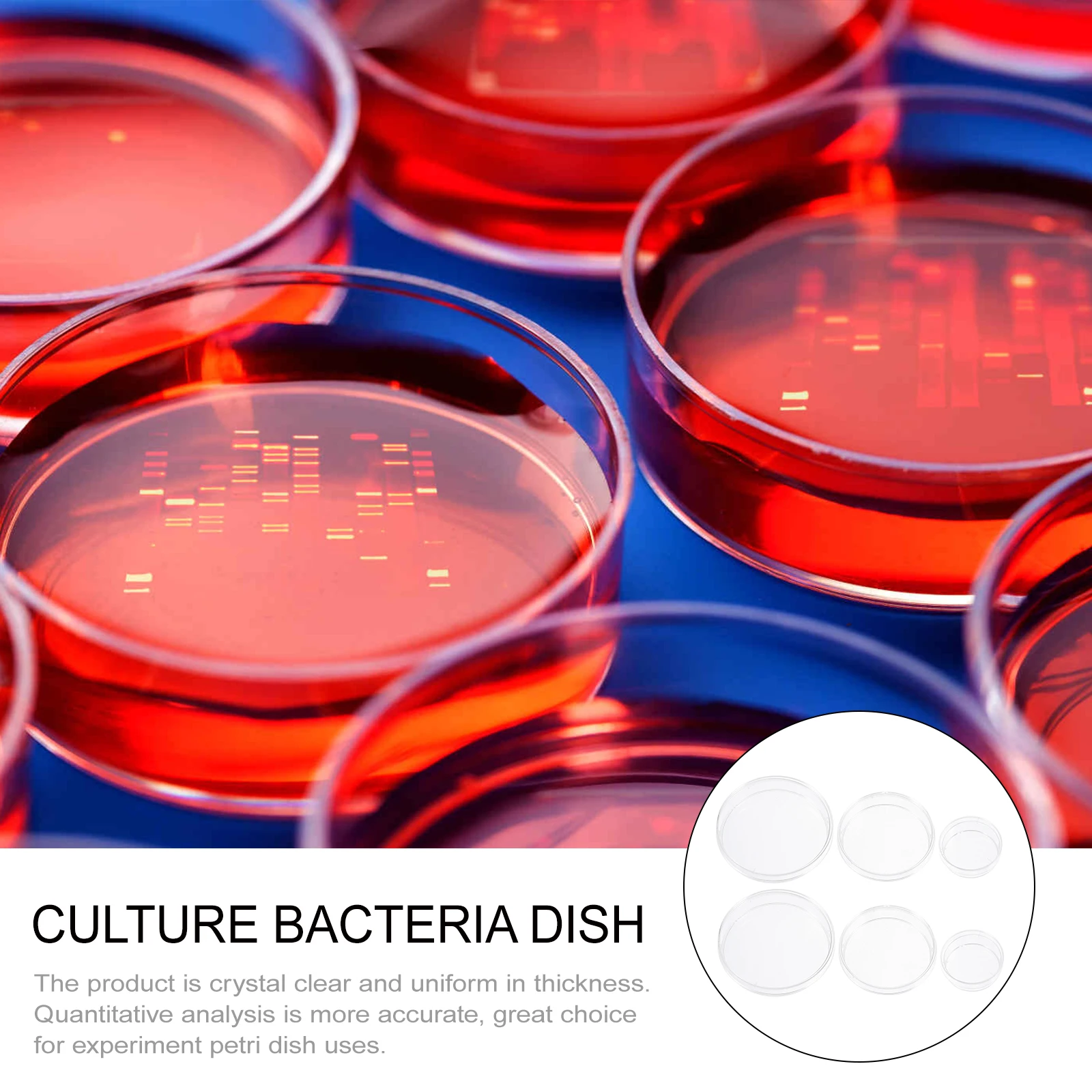 30 Pcs Cell Culture Dish Bacteria Dishes Petri with Lid Sterile Plastic Science Experiment Supplies
30 Pcs Cell Culture Dish Bacteria Dishes Petri with Lid Sterile Plastic Science Experiment Supplies