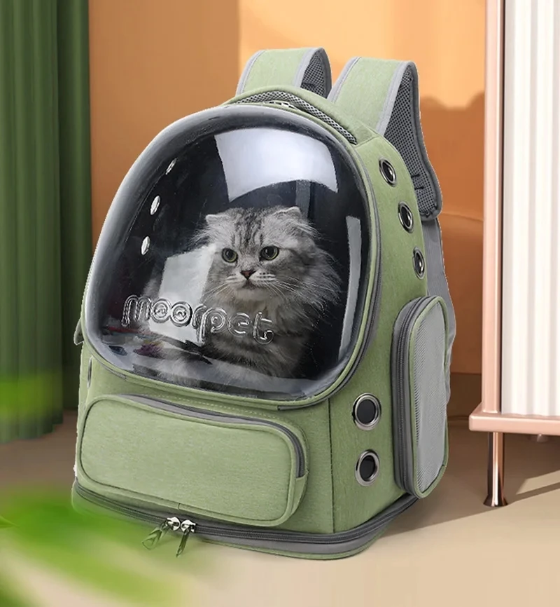 Transparent Pet Carrier Backpack, breathable design for cats and small dogs, portable outdoor travel pet supply.
Transparent Pet Carrier Backpack, breathable design for cats and small dogs, portable outdoor travel pet supply.