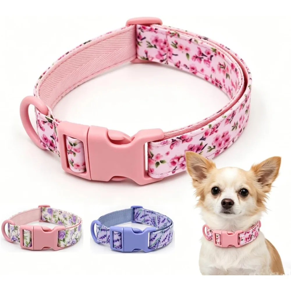 Custom Flower Dog Cat Collar with Name Phone Number, Adjustable Personalized Pet Colalr for Puppy Kitten Small Medium Large Pet
Custom Flower Dog Cat Collar with Name Phone Number, Adjustable Personalized Pet Colalr for Puppy Kitten Small Medium Large Pet