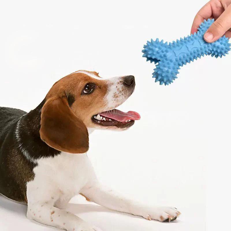 Pet Dog Toys For Small Dog Chews TPR Knot Toys Bite Resistant Molar Teeth Cleaning Dog Training Supplies Interactive Accessories
Pet Dog Toys For Small Dog Chews TPR Knot Toys Bite Resistant Molar Teeth Cleaning Dog Training Supplies Interactive Accessories