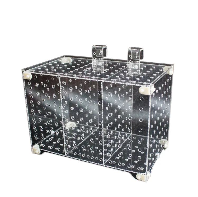 Acrylic 220v Aquarium Fish Tank Multifunctional Home Breeding Incubator Rectangular Shape Assembled Hanging Sucker Isolation Box
Acrylic 220v Aquarium Fish Tank Multifunctional Home Breeding Incubator Rectangular Shape Assembled Hanging Sucker Isolation Box