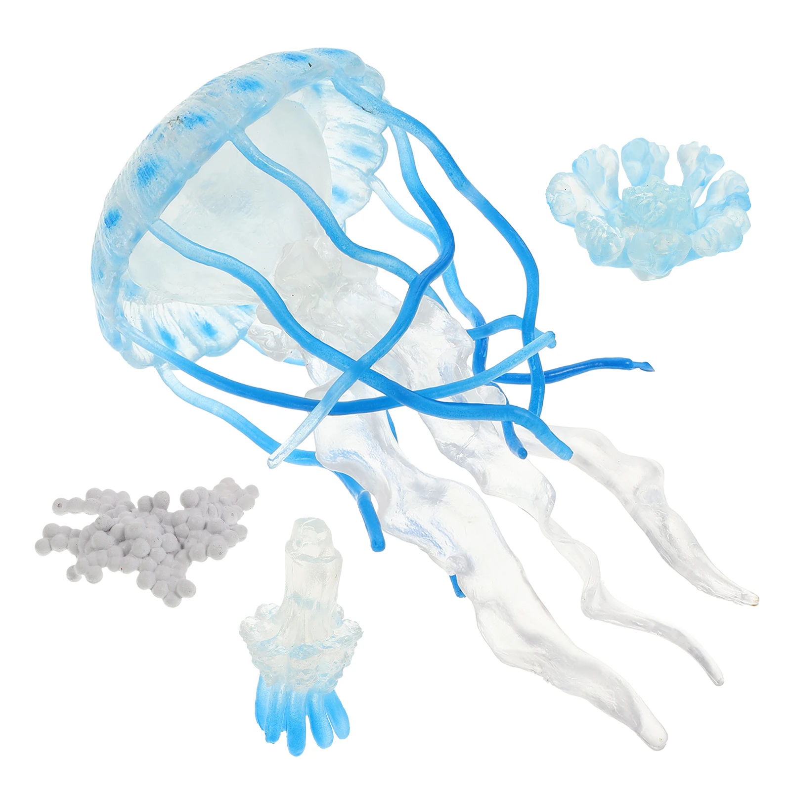 4pcs Jellyfish Growth Ornaments Plastic Floating Aquarium Decorations Educational Toy Kids Cognitive Learning Realistic Figures
4pcs Jellyfish Growth Ornaments Plastic Floating Aquarium Decorations Educational Toy Kids Cognitive Learning Realistic Figures
