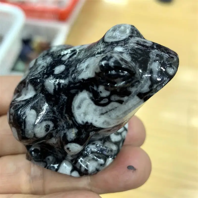 Natural Shellstone Frog Carving Reiki Healing Fengshui Stone Home Ornaments Decoration Holiday Gift 1pcs
Natural Shellstone Frog Carving Reiki Healing Fengshui Stone Home Ornaments Decoration Holiday Gift 1pcs