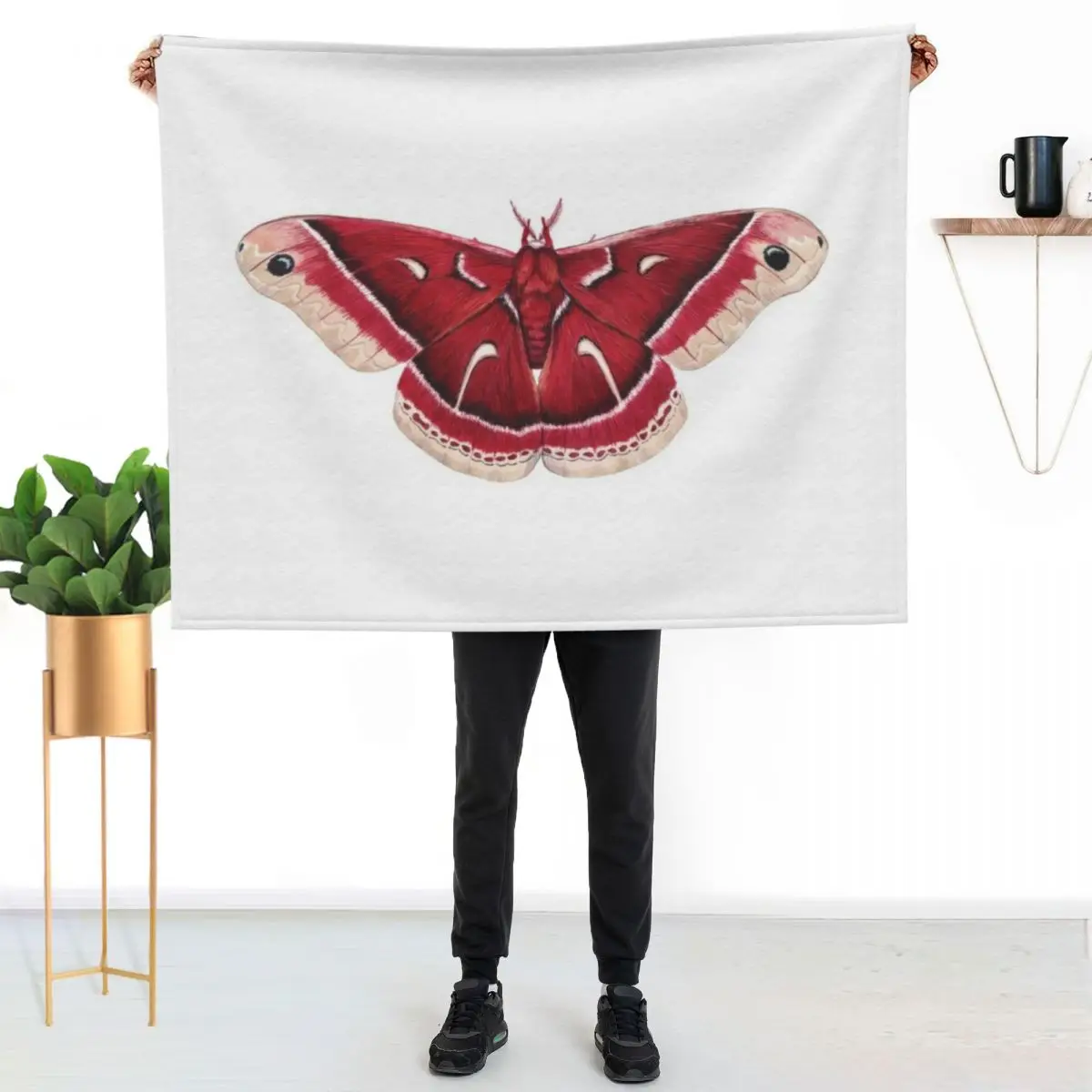 Ceanothus Silkmoth (Hyalophora euryalus) Throw Blanket Soft Warm Blanket Gift for Men Women Adults
Ceanothus Silkmoth (Hyalophora euryalus) Throw Blanket Soft Warm Blanket Gift for Men Women Adults