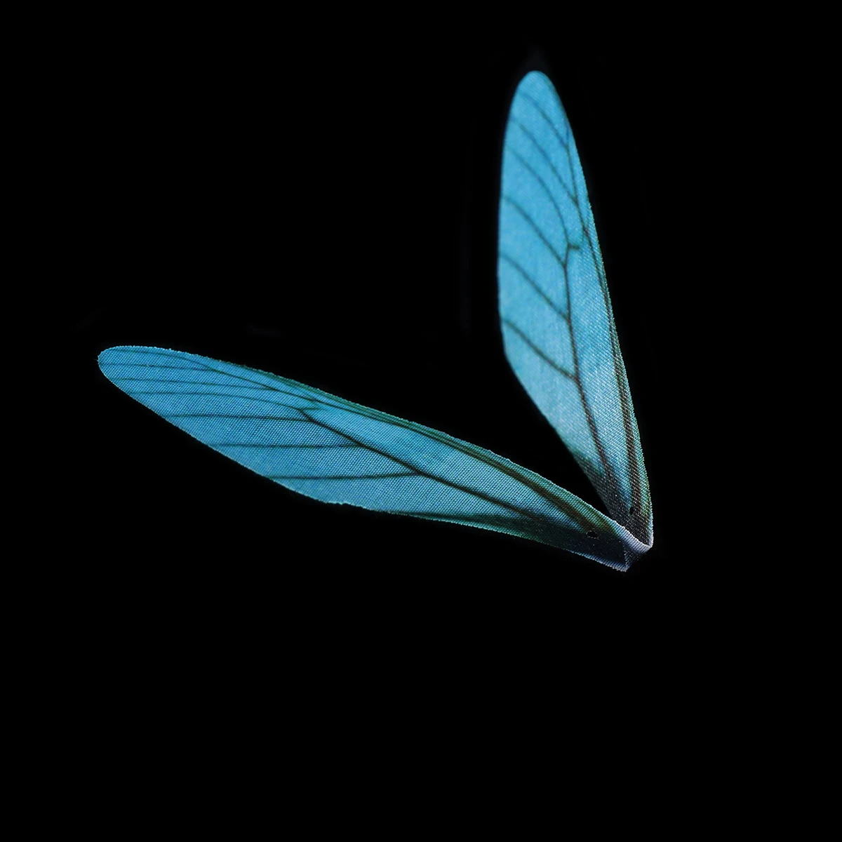 20 Pcs Blue Green Dragonfly Wings Hanging Decoration Earring Decors Artificial Earrings Accessories
20 Pcs Blue Green Dragonfly Wings Hanging Decoration Earring Decors Artificial Earrings Accessories