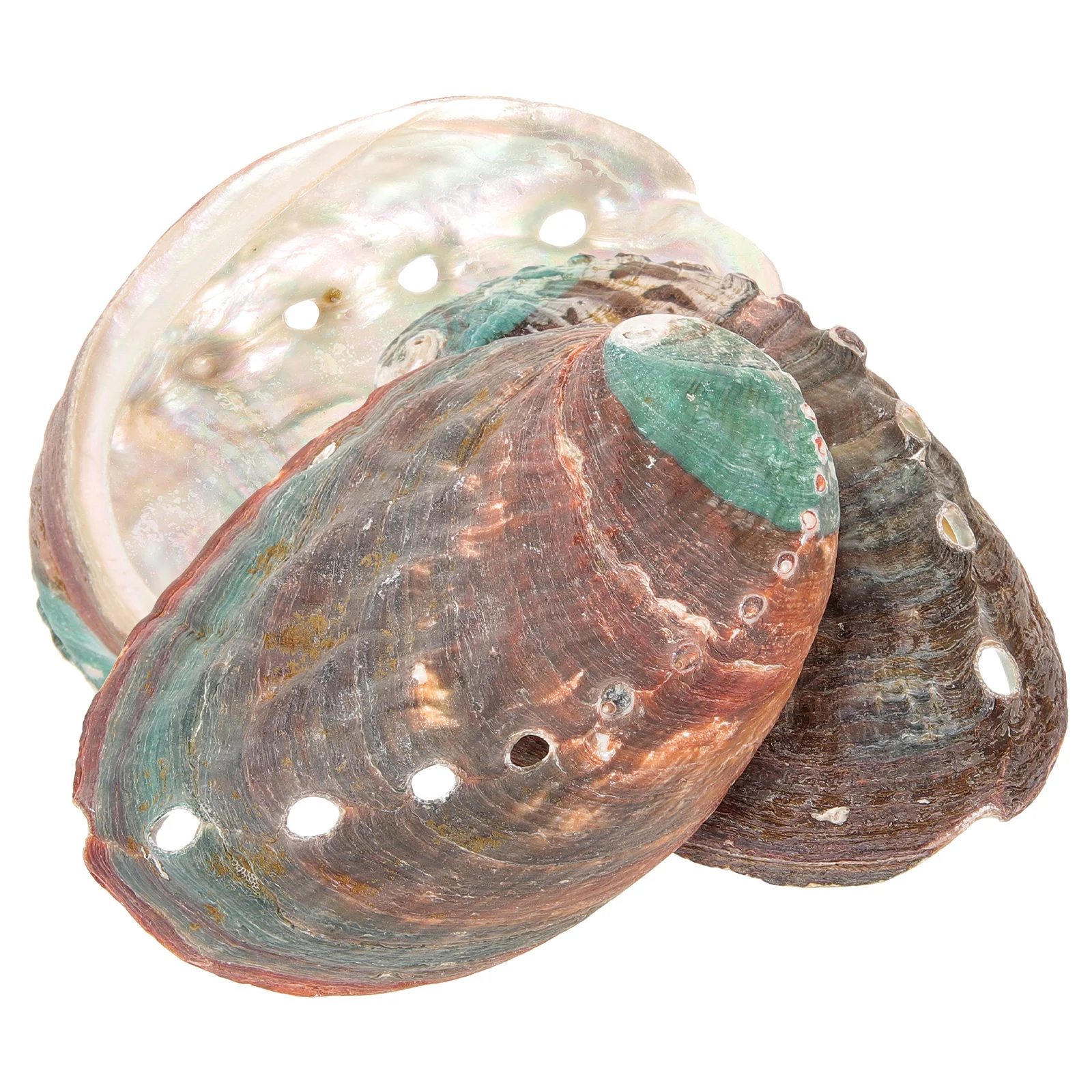 3 Pcs Natural Shell Abalone Decorative Ornaments Smudging Kit Holder Sink Tray Smudge Bowl Seashells for
3 Pcs Natural Shell Abalone Decorative Ornaments Smudging Kit Holder Sink Tray Smudge Bowl Seashells for