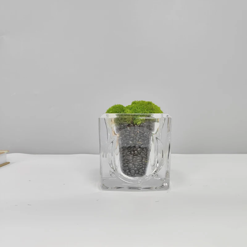 Everlasting Glass Terrarium Decorative Desktop Plants Home Hotel Office Decoration Moss eenery Artificial Simulation Ornament
Everlasting Glass Terrarium Decorative Desktop Plants Home Hotel Office Decoration Moss eenery Artificial Simulation Ornament