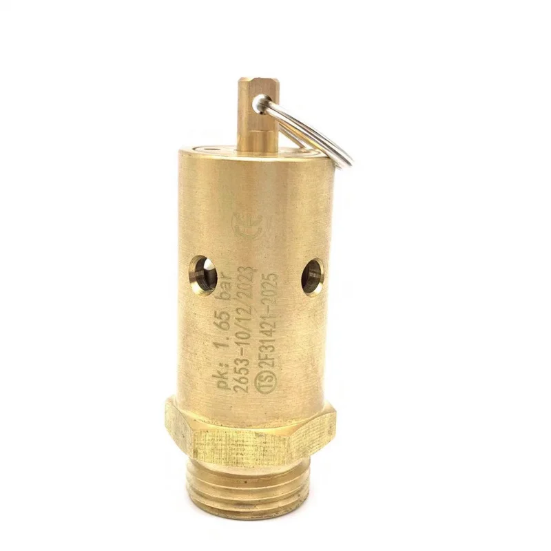 for Aibao Peima E61 Nova Lelit Rocket Mom Coffee Machine BEZZERA Vacuum high-pressure Integrated Valve accessories
for Aibao Peima E61 Nova Lelit Rocket Mom Coffee Machine BEZZERA Vacuum high-pressure Integrated Valve accessories